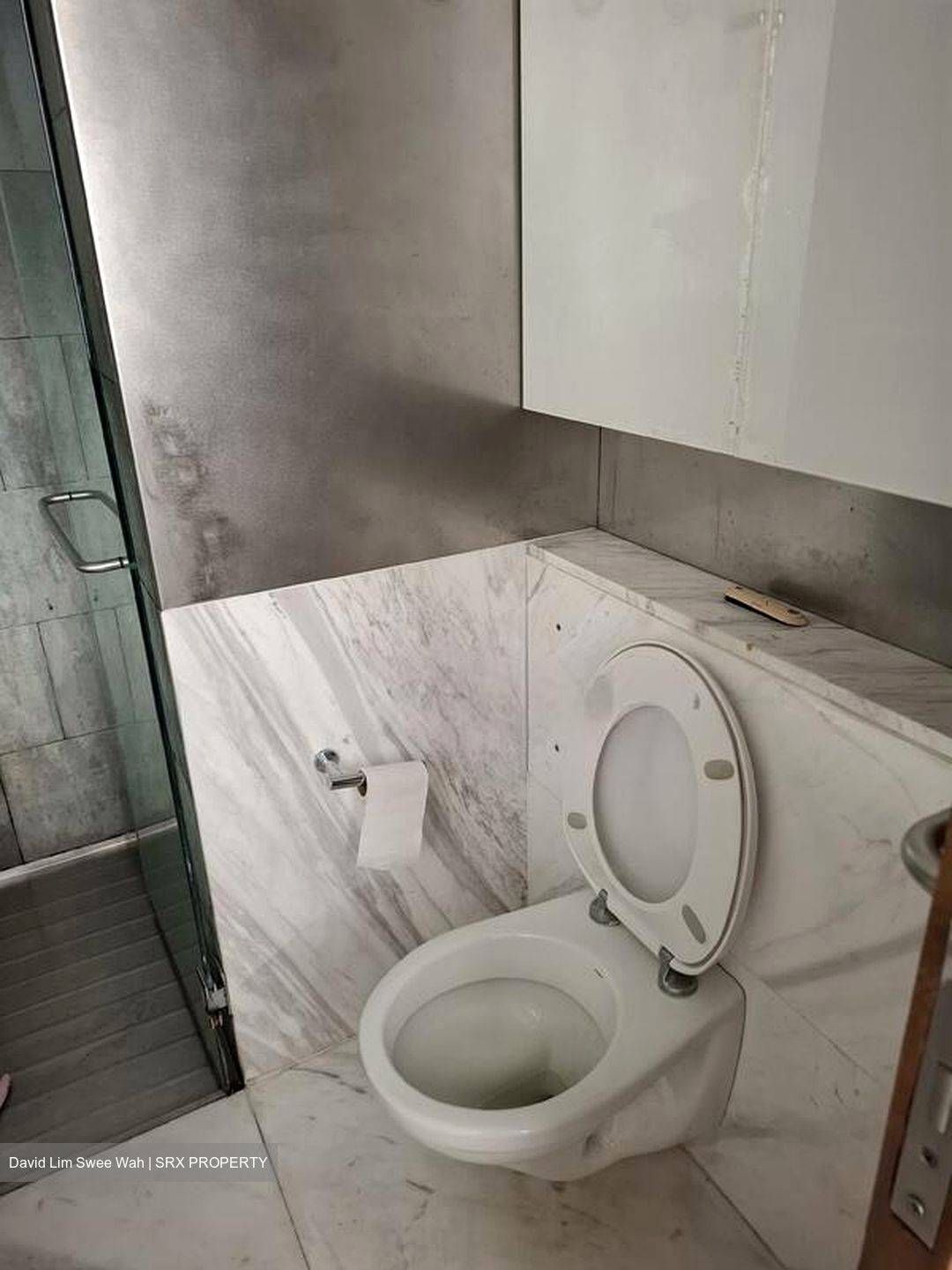 1 Moulmein Rise (D11), Apartment #502162401